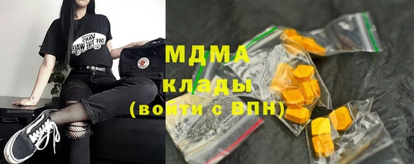 хмурый Дмитров