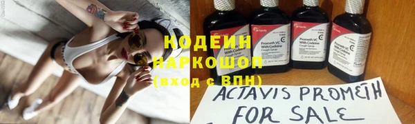 хмурый Дмитров