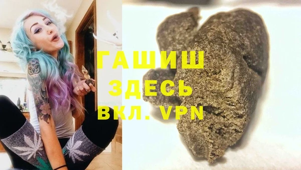 хмурый Дмитров