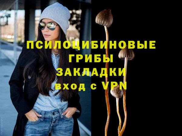 герыч Дмитриев