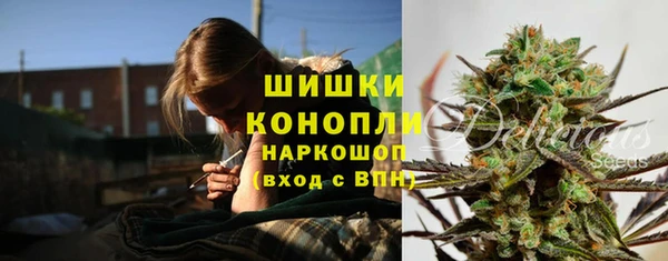 хмурый Дмитров